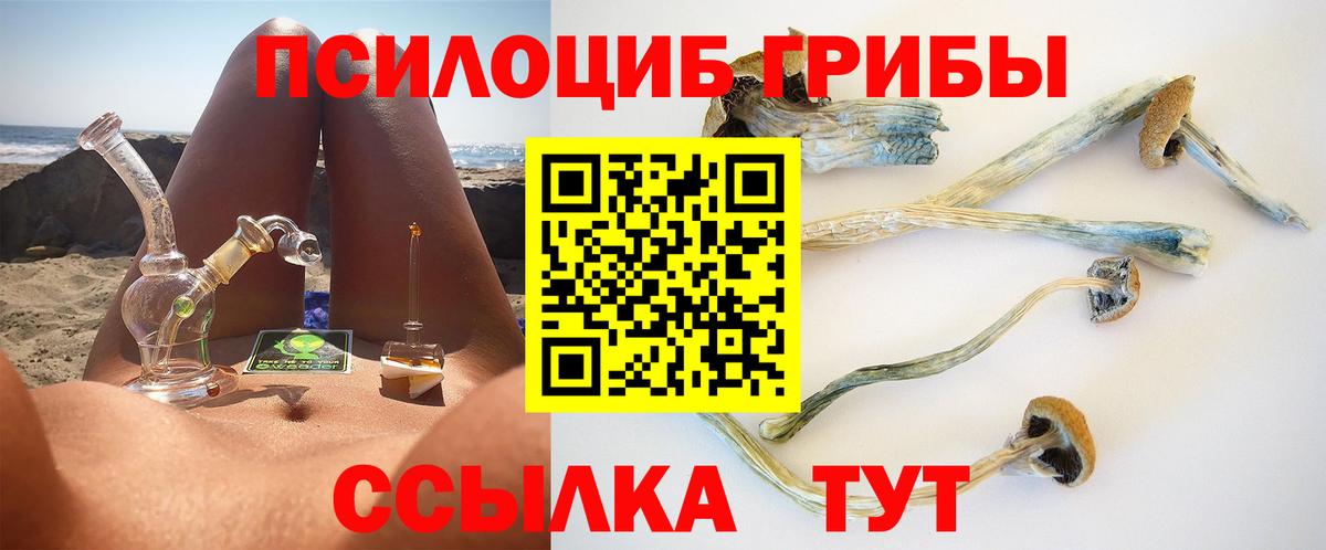 Галлюциногенные грибы Psilocybe  Вход с VPN  Псилоцибиновые грибы мухоморы  Чапаевск 